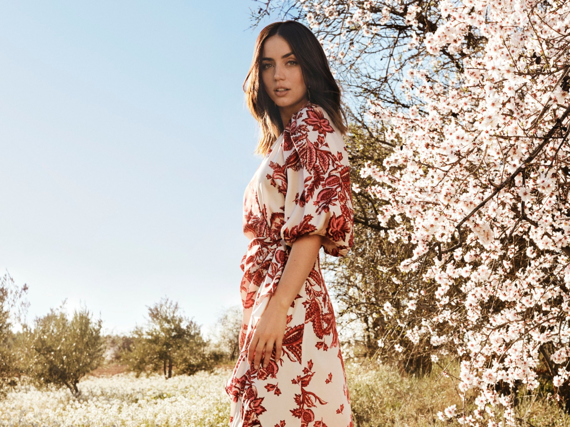 Brunette Cuban actress Ana de Armas stands beside blossoming trees in a floral dress, captured in a serene HD desktop wallpaper.