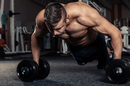 muscle bodybuilding Sports HD Desktop Wallpaper | Background Image
