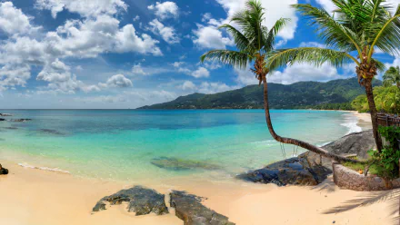 tropical nature beach tropical beach HD Desktop Wallpaper | Background Image