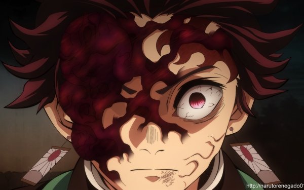 Demon Slayer: Kimetsu no Yaiba HD Wallpaper | Hintergrund | 1920x1712