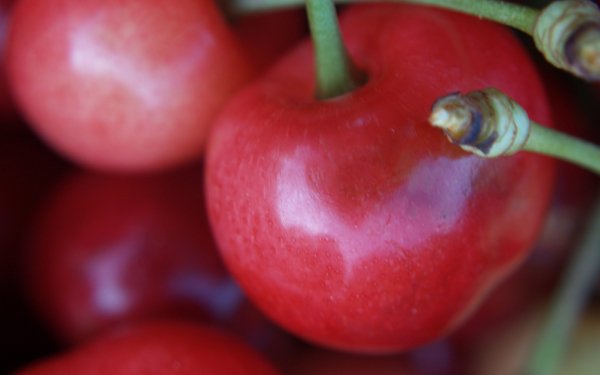 Food Cherry Fruits Close-Up HD Wallpaper | Background Image