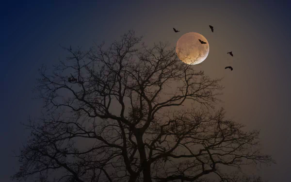 4K Ultra HD PC desktop background: silhouetted leafless tree with bats flying past a glowing full moon in a moody night nature scene.
