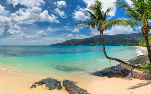 tropical nature beach HD Desktop Wallpaper | Background Image