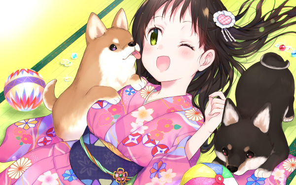 Anime Original Corgi Kimono HD Wallpaper | Background Image