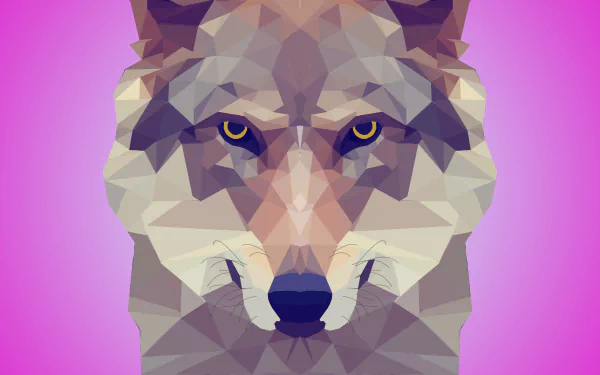 facets Animal wolf HD Desktop Wallpaper | Background Image