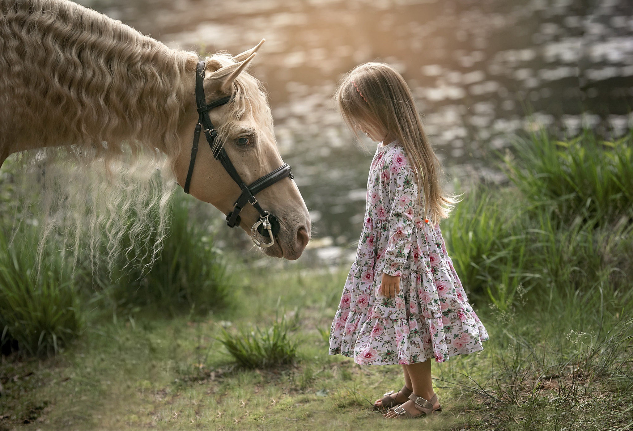 Download Little Girl Dress Blonde Horse Photography Child HD Wallpaper