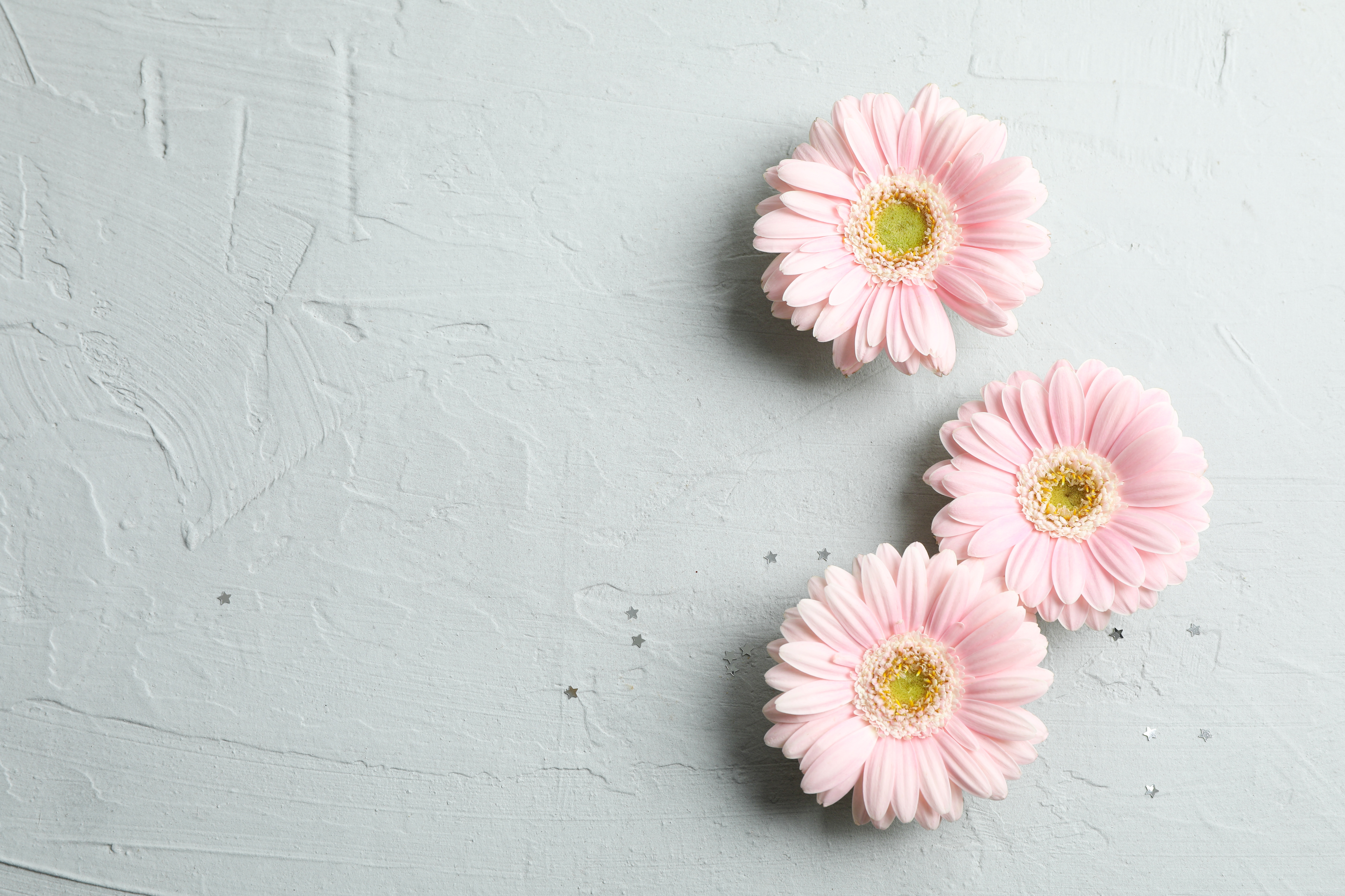 Man Made Flower HD Wallpaper | Background Image