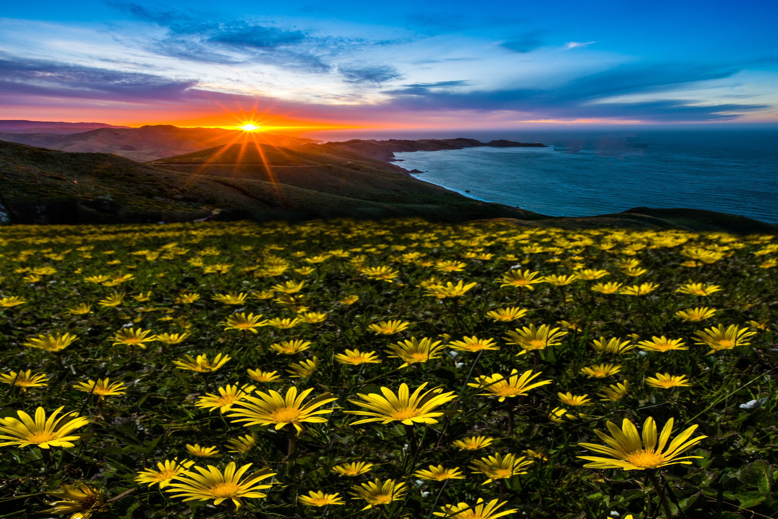 Download Ocean Nature Flower Sunset Landscape Coastline HD Wallpaper