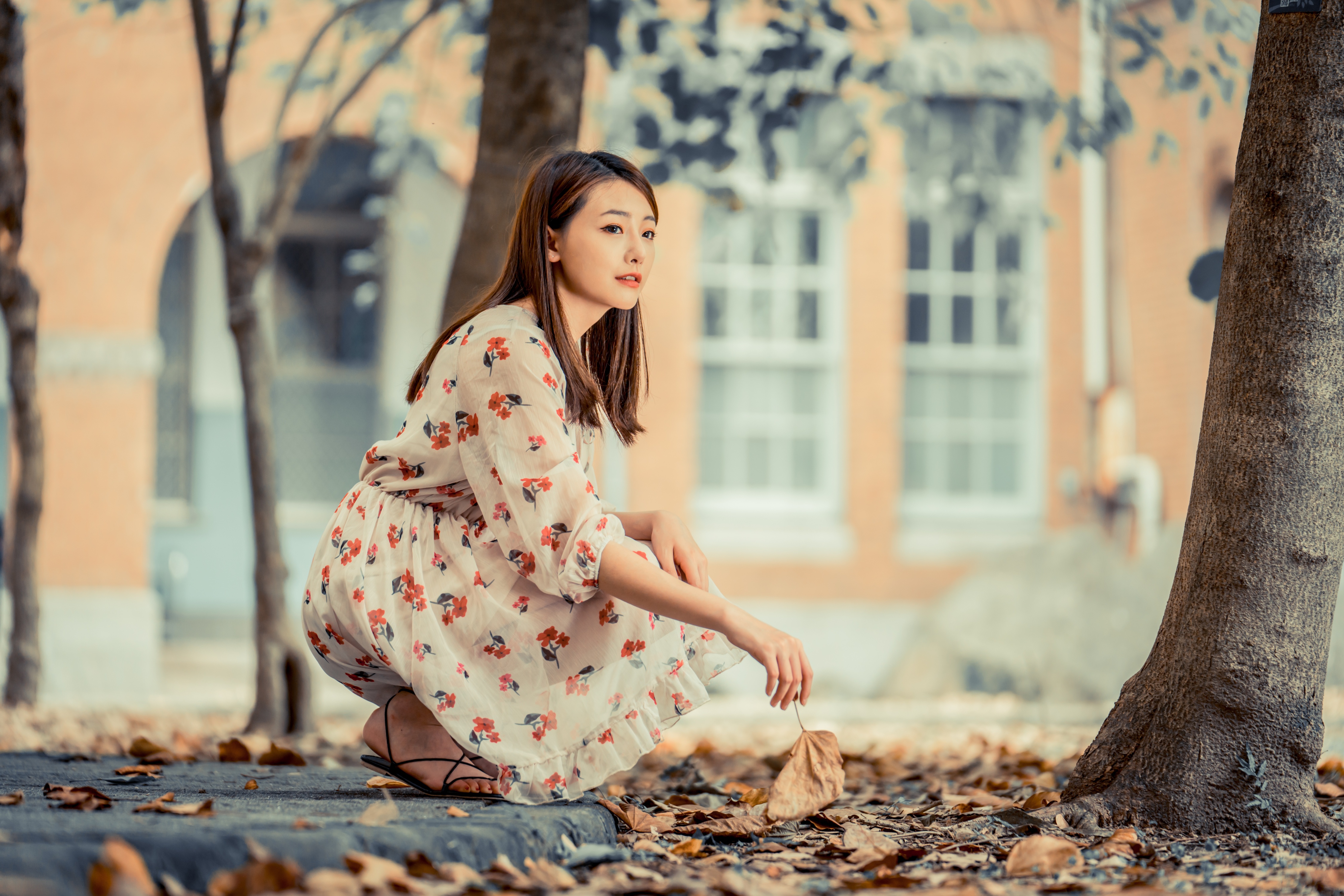 Download Depth Of Field Dress Brunette Model Woman Asian 4k Ultra Hd