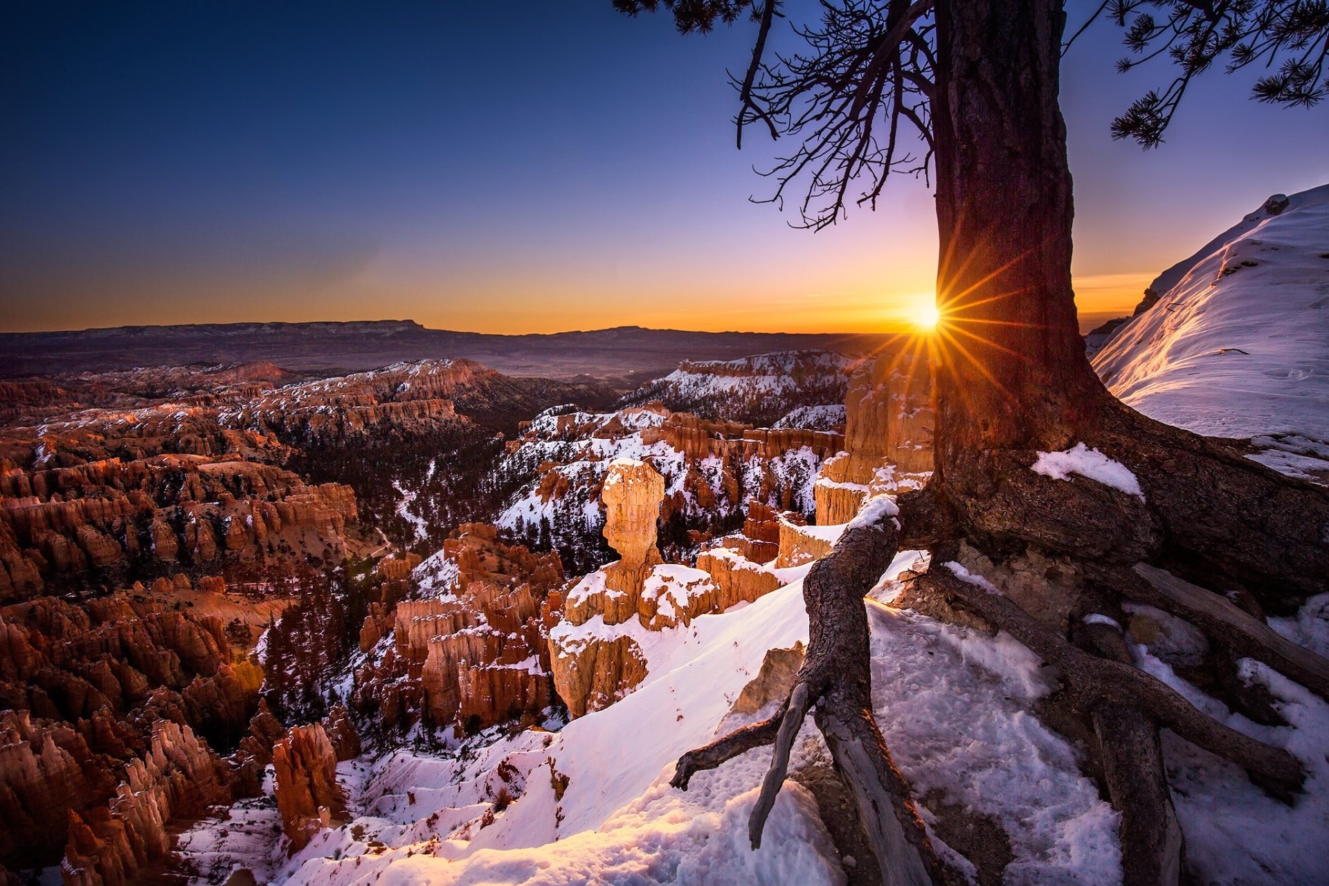 Download Usa Utah Tree Sunset Snow Nature Bryce Canyon National Park Hd