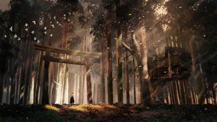 HD anime original artwork depicting a serene forest scene with tall trees, sunlight filtering through leaves, a torii gate, and a solitary figure for a PC desktop wallpaper.