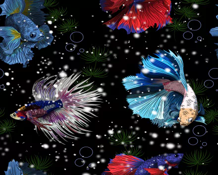 aquarium Animal fish HD Desktop Wallpaper | Background Image