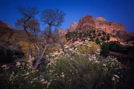 mountain nature Zion National Park HD Desktop Wallpaper | Background Image