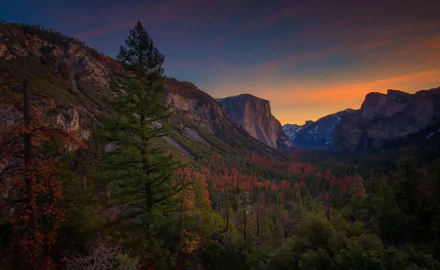 nature Yosemite National Park HD Desktop Wallpaper | Background Image