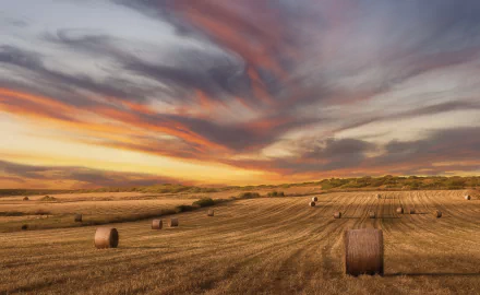nature sunset summer field haystack summer sunset HD Desktop Wallpaper | Background Image