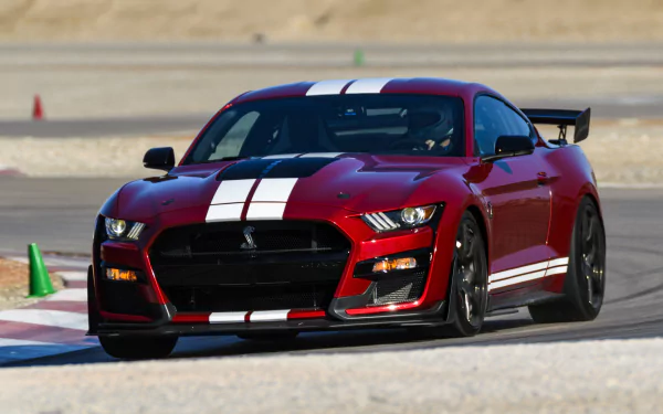  2019 Ford Mustang Shelby GT500