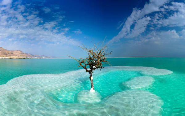  The Dead Sea in Israel