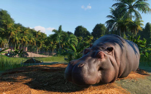 HD wallpaper from Planet Zoo featuring a resting hippopotamus with lush greenery in the background.