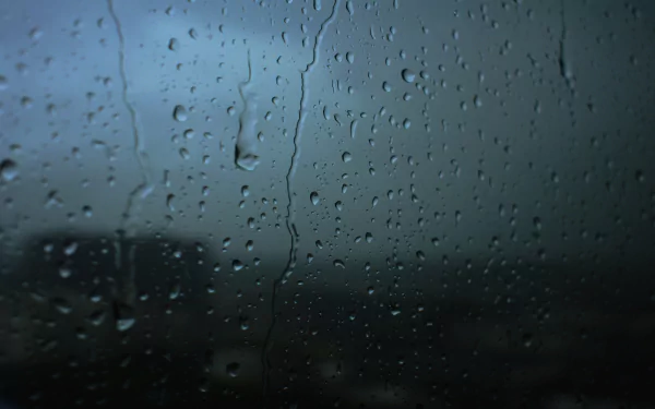 photography raindrops HD Desktop Wallpaper | Background Image