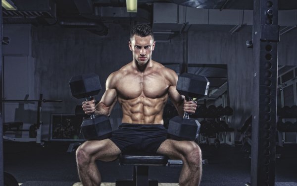 Sports Bodybuilding HD Wallpaper | Background Image