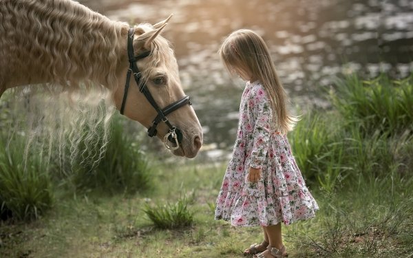 Photography Child Horse Blonde Dress Little Girl HD Wallpaper | Background Image