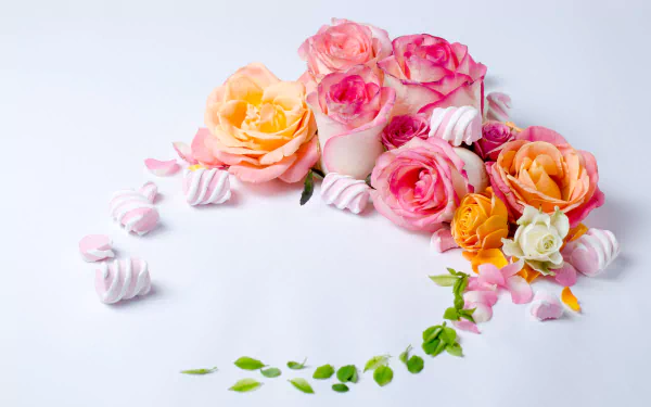 food marshmallow HD Desktop Wallpaper | Background Image