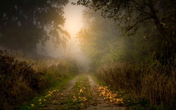  Apples on a Dirt Road