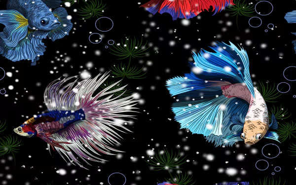 aquarium Animal fish HD Desktop Wallpaper | Background Image