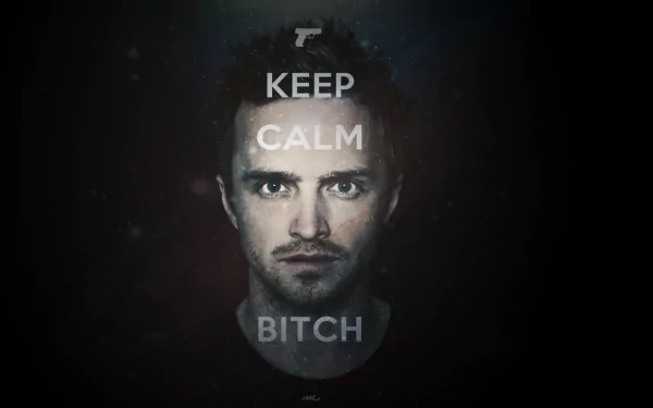  Breaking Bad - KEEP CALM BITCH