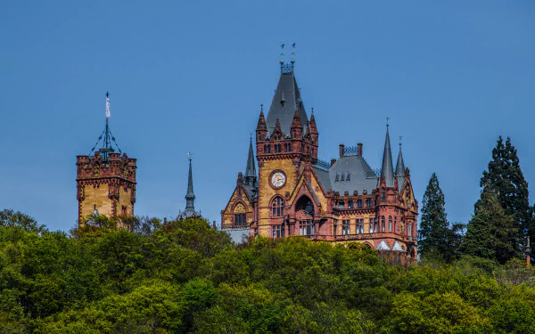 man made Schloss Drachenburg HD Desktop Wallpaper | Background Image