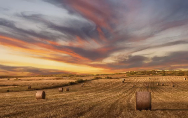 nature sunset summer field haystack summer sunset HD Desktop Wallpaper | Background Image