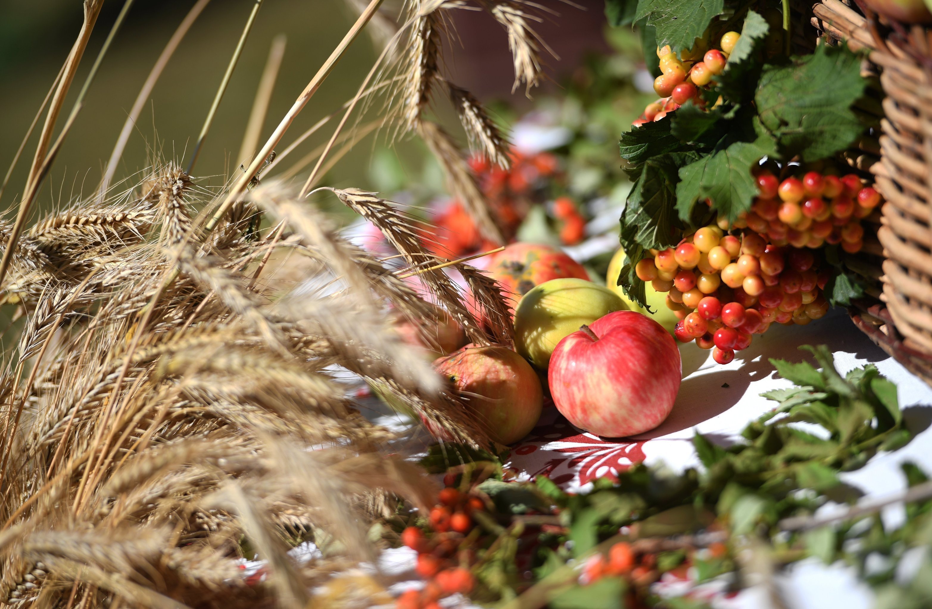 Food Still Life HD Wallpaper | Background Image