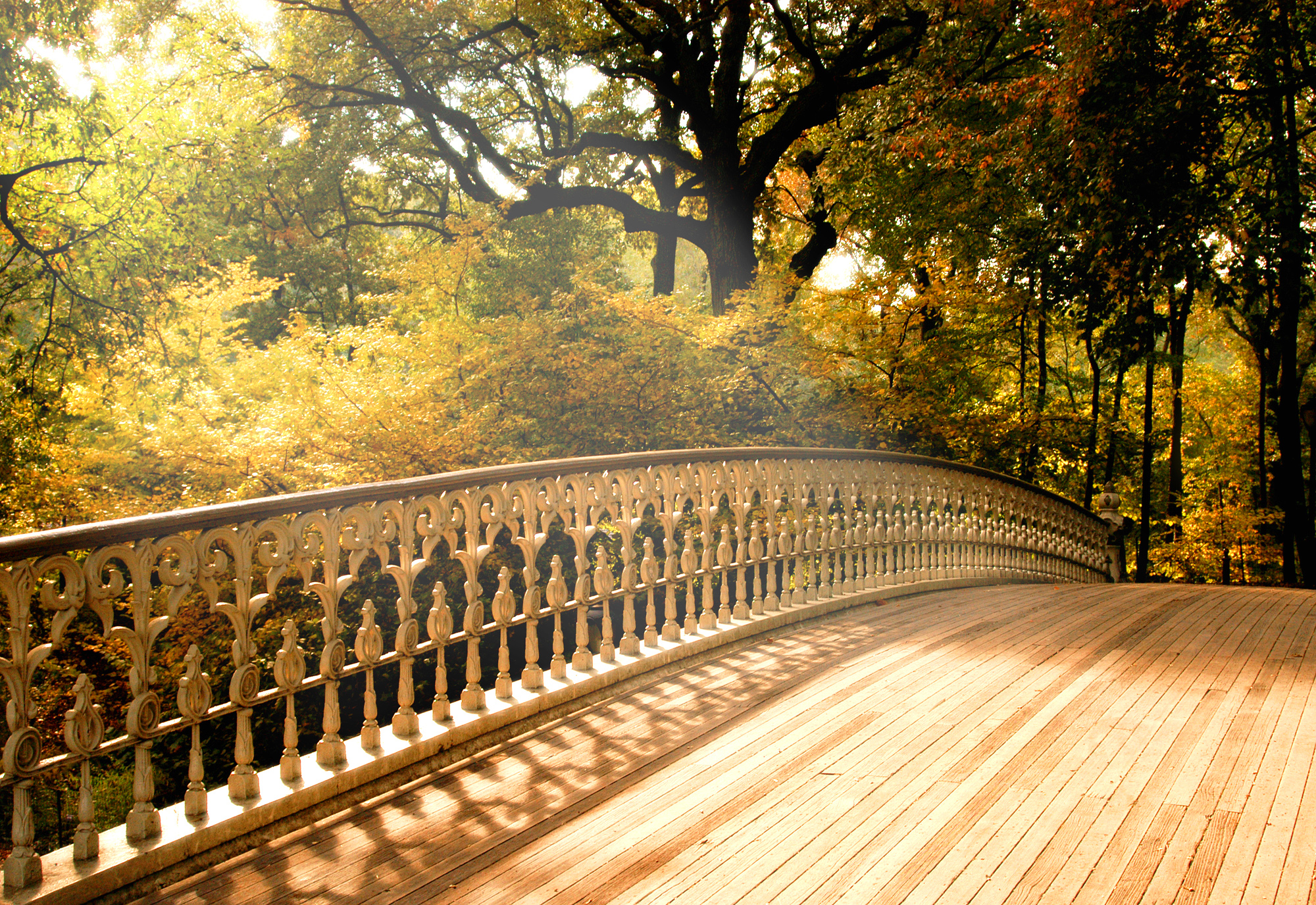 Download Wood Fall Man Made Bridge Hd Wallpaper 