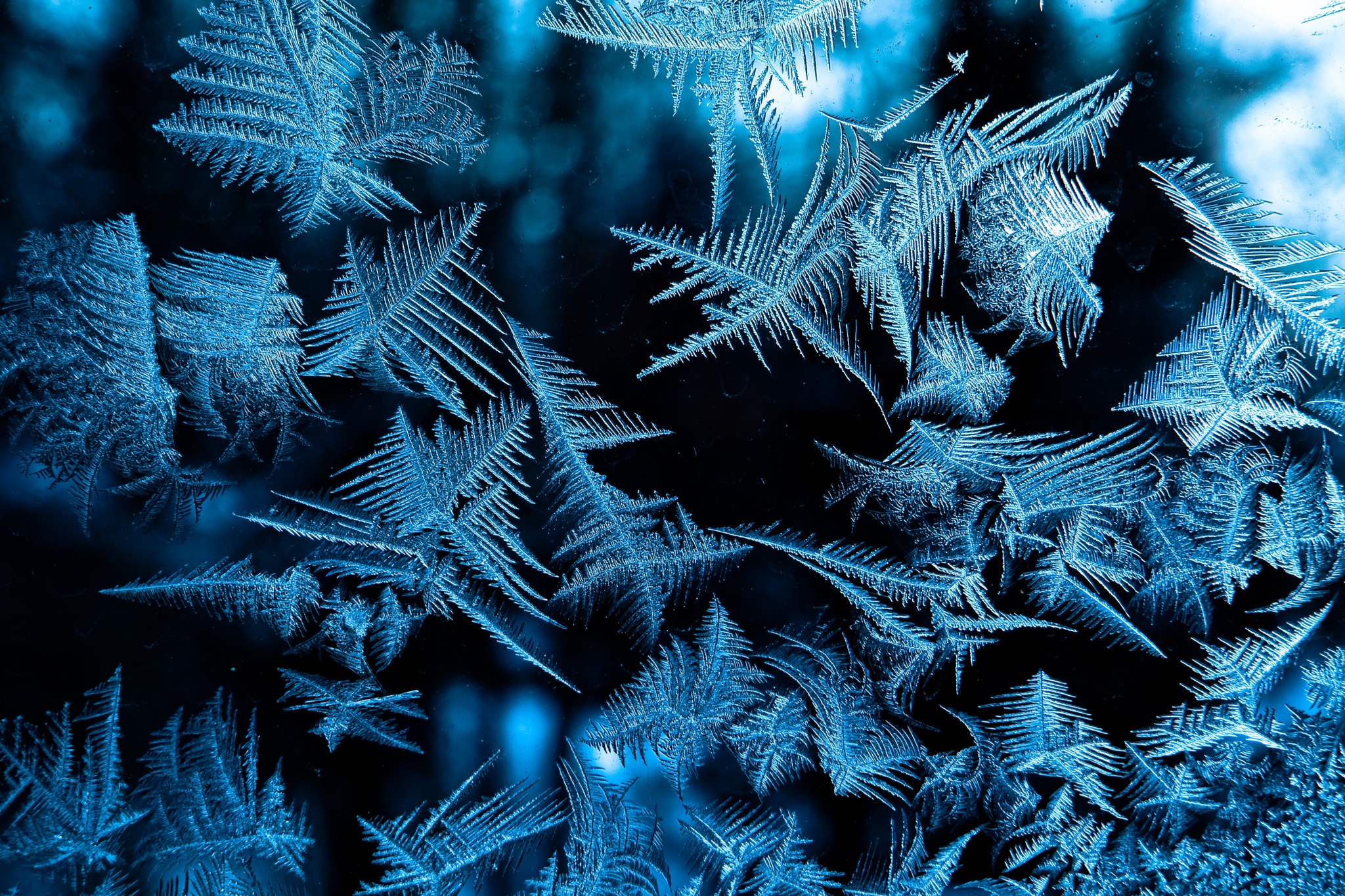 Nature Frost HD Wallpaper