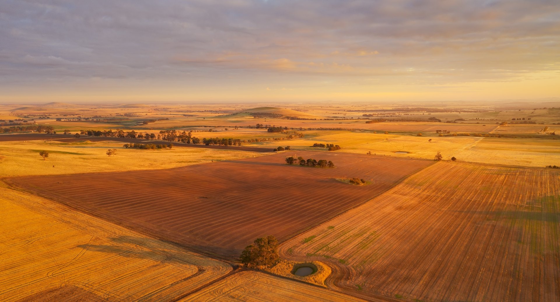 4K Ultra HD PC desktop wallpaper of nature: expansive golden fields at sunset, patchwork farmland, farm tracks and a small pond under a soft sky.
