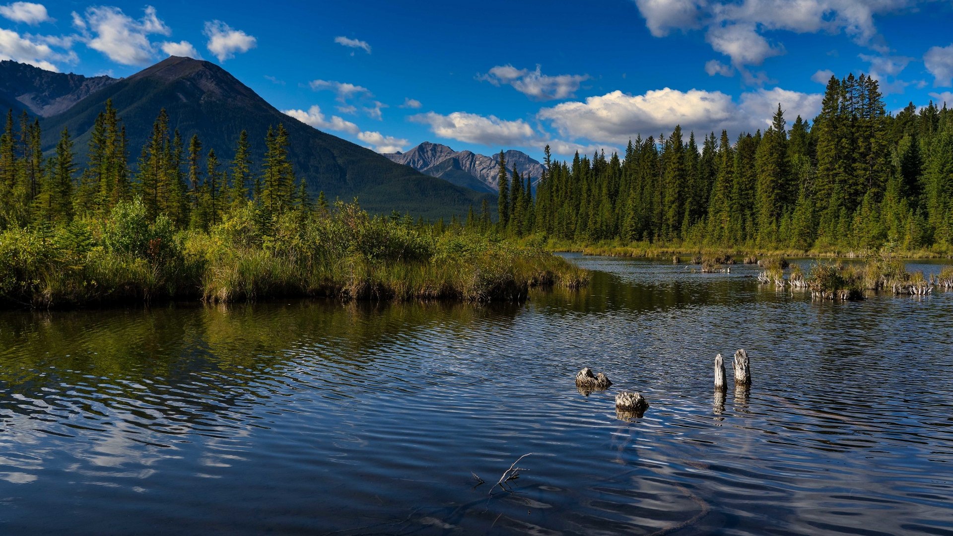 Download Alberta Canada Nature Mountain Forest Lake 4k Ultra HD Wallpaper