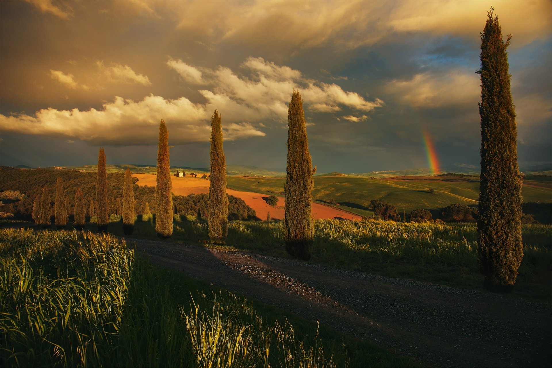 Download Rainbow Cypress Italy Sunset Road Photography Tuscany HD Wallpaper