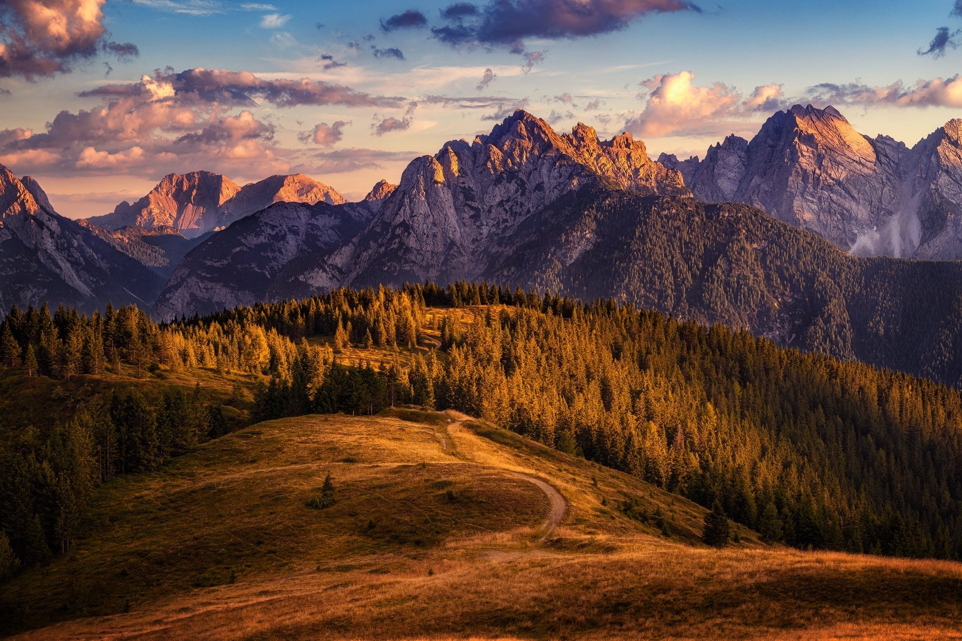 HD desktop wallpaper: sunlit fir-tree forest and rolling meadow with a winding path beneath rugged Alps at golden hour — serene nature mountain landscape.