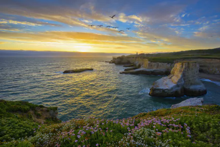 A 4K Ultra HD desktop wallpaper of Santa Cruz coastline, California, featuring ocean waves, cliffs, wildflowers in the foreground, birds flying, and a colorful sunset sky.