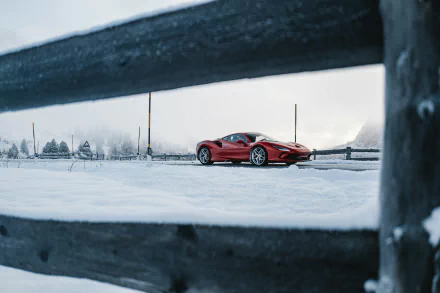 supercar car Ferrari vehicle Ferrari F8 Tributo HD Desktop Wallpaper | Background Image