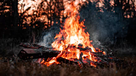 smoke flame firewood bonfire photography fire HD Desktop Wallpaper | Background Image