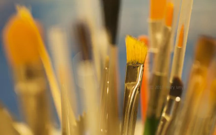 macro man made brush HD Desktop Wallpaper | Background Image