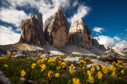 4K Ultra HD view of Tre Cime di Lavaredo cliffs in the Dolomites Alps, framed by yellow summer flowers and a cloudy blue sky.