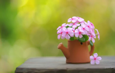  Pink Flowers in a Tinny Clay Watering Can