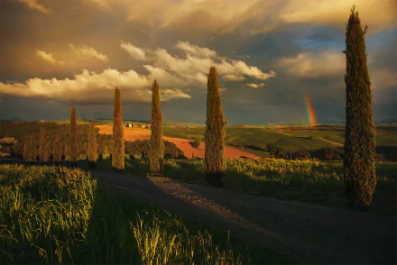 rainbow cypress Italy sunset road photography Tuscany HD Desktop Wallpaper | Background Image