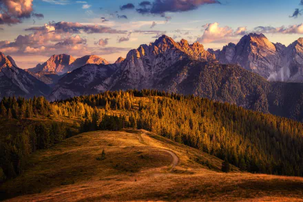 HD desktop wallpaper: sunlit fir-tree forest and rolling meadow with a winding path beneath rugged Alps at golden hour — serene nature mountain landscape.