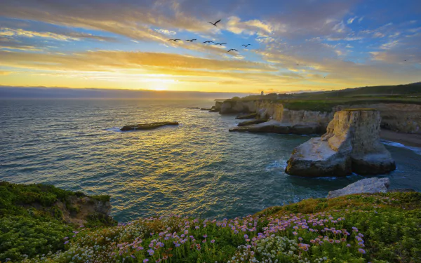 A 4K Ultra HD desktop wallpaper of Santa Cruz coastline, California, featuring ocean waves, cliffs, wildflowers in the foreground, birds flying, and a colorful sunset sky.