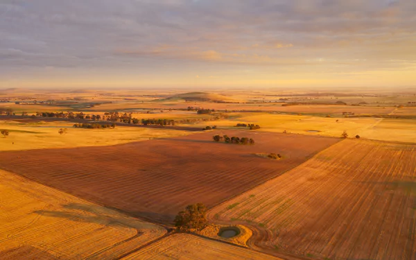 4K Ultra HD PC desktop wallpaper of nature: expansive golden fields at sunset, patchwork farmland, farm tracks and a small pond under a soft sky.