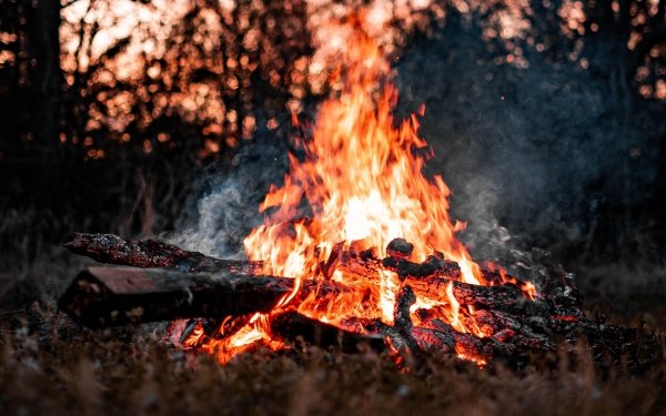 Photography Fire Bonfire Firewood Flame Smoke HD Wallpaper | Background Image