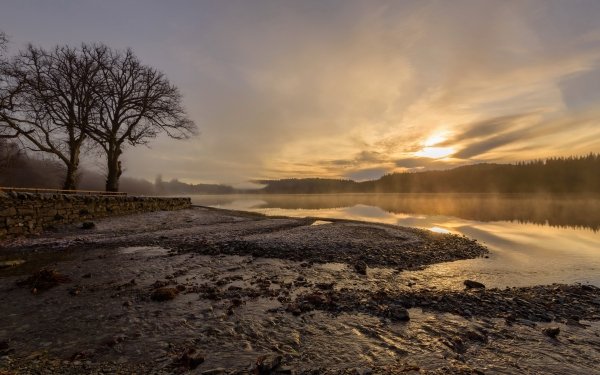 Photography Lake Lakes Scotland Tree Fog HD Wallpaper | Background Image